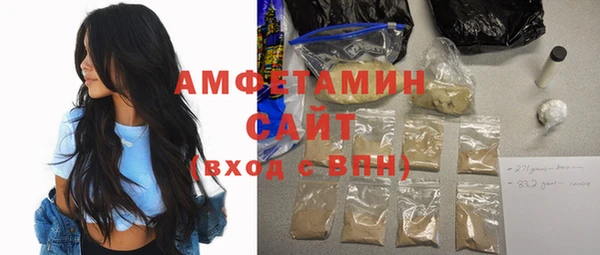 прущие грибы Новозыбков