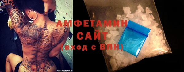 прущие грибы Новозыбков
