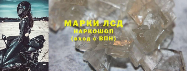 прущие грибы Новозыбков