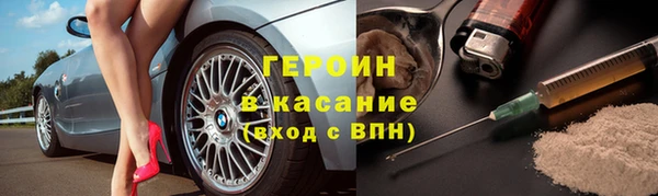 прущие грибы Новозыбков