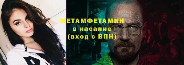 прущие грибы Новозыбков