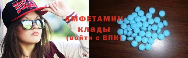 прущие грибы Новозыбков