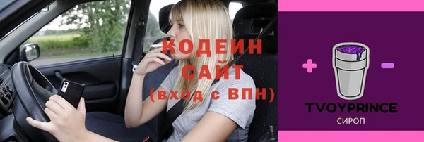 прущие грибы Новозыбков