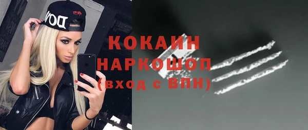 прущие грибы Новозыбков
