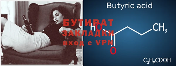прущие грибы Новозыбков