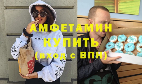 прущие грибы Новозыбков