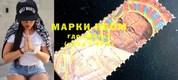 прущие грибы Новозыбков
