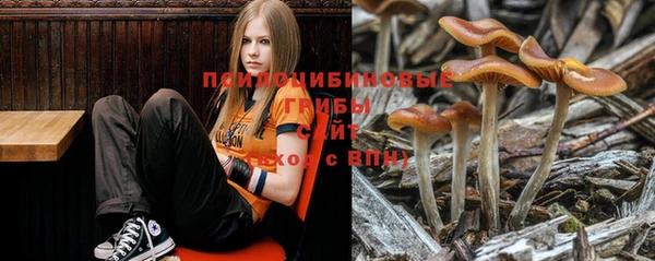 MDMA Premium VHQ Новокубанск