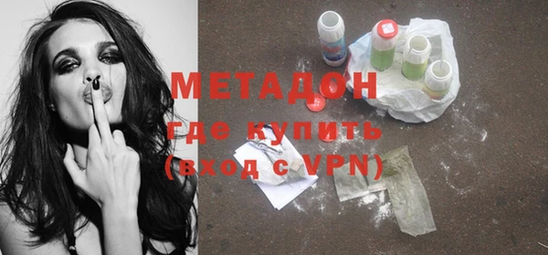 прущие грибы Новозыбков