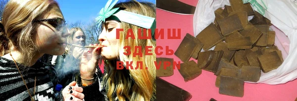 прущие грибы Новозыбков