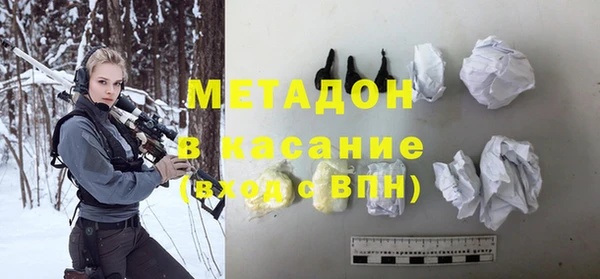 прущие грибы Новозыбков