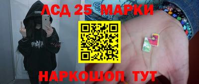 индика Абакан
