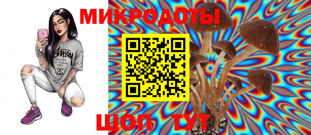 Галлюциногенные грибы Psilocybine cubensis  Аксай  Псилоцибиновые грибы Cubensis 